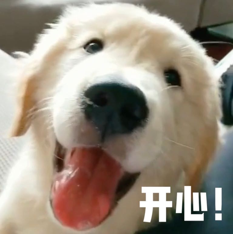 ss